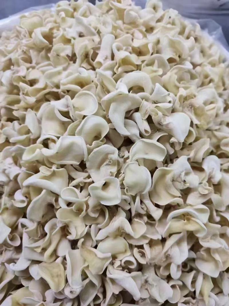 白玉木耳产地直销批发玉木耳干货小碗耳白木耳土特产白玉耳