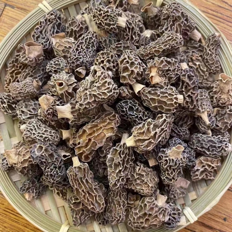 香格里拉野生羊肚菌，产地直发欢迎来电咨询采购