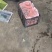 云南西红柿大红西红柿，产地直销，货源稳定供应