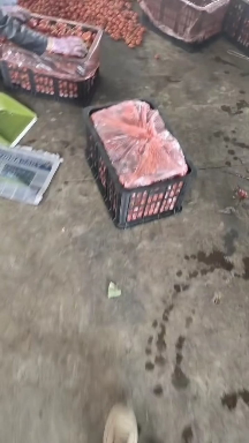 云南西红柿大红西红柿，产地直销，货源稳定供应