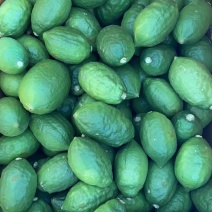 广东无籽香水柠檬
