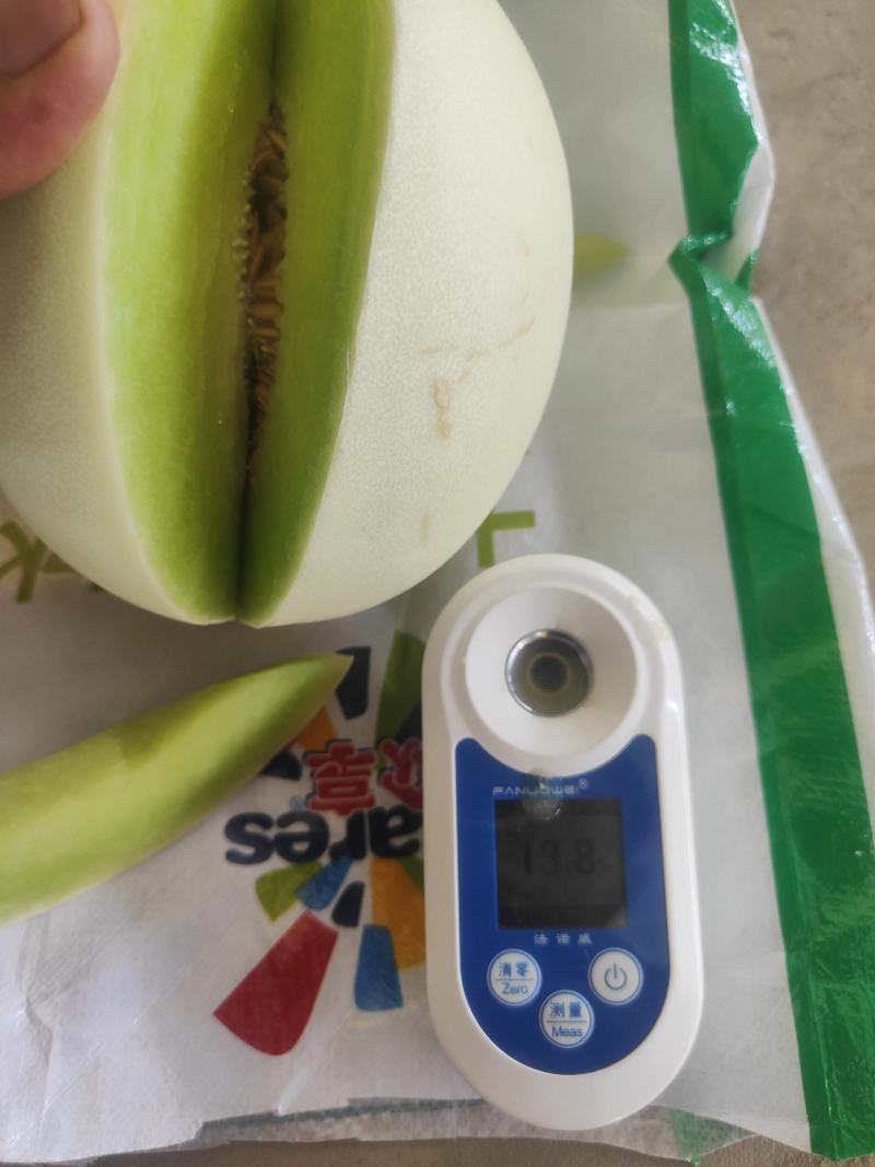 甜瓜玉菇甘肃玉门新玉菇甜瓜上市甘肃甜瓜批发供应商