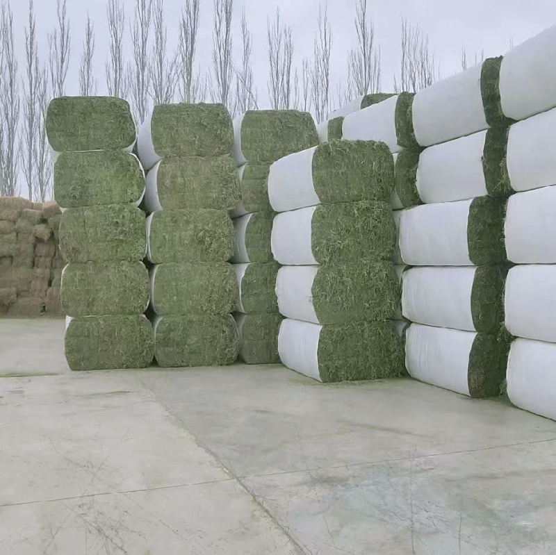 进口苜蓿草全国批发进口苜蓿草优质苜蓿草蛋白含量高粗纤维
