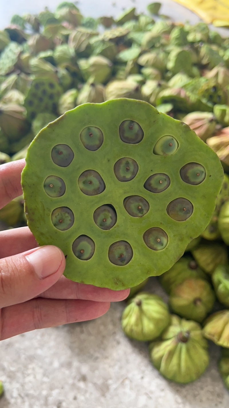 莲子全品类，价格是增加曝光率，品质才是合作的基石