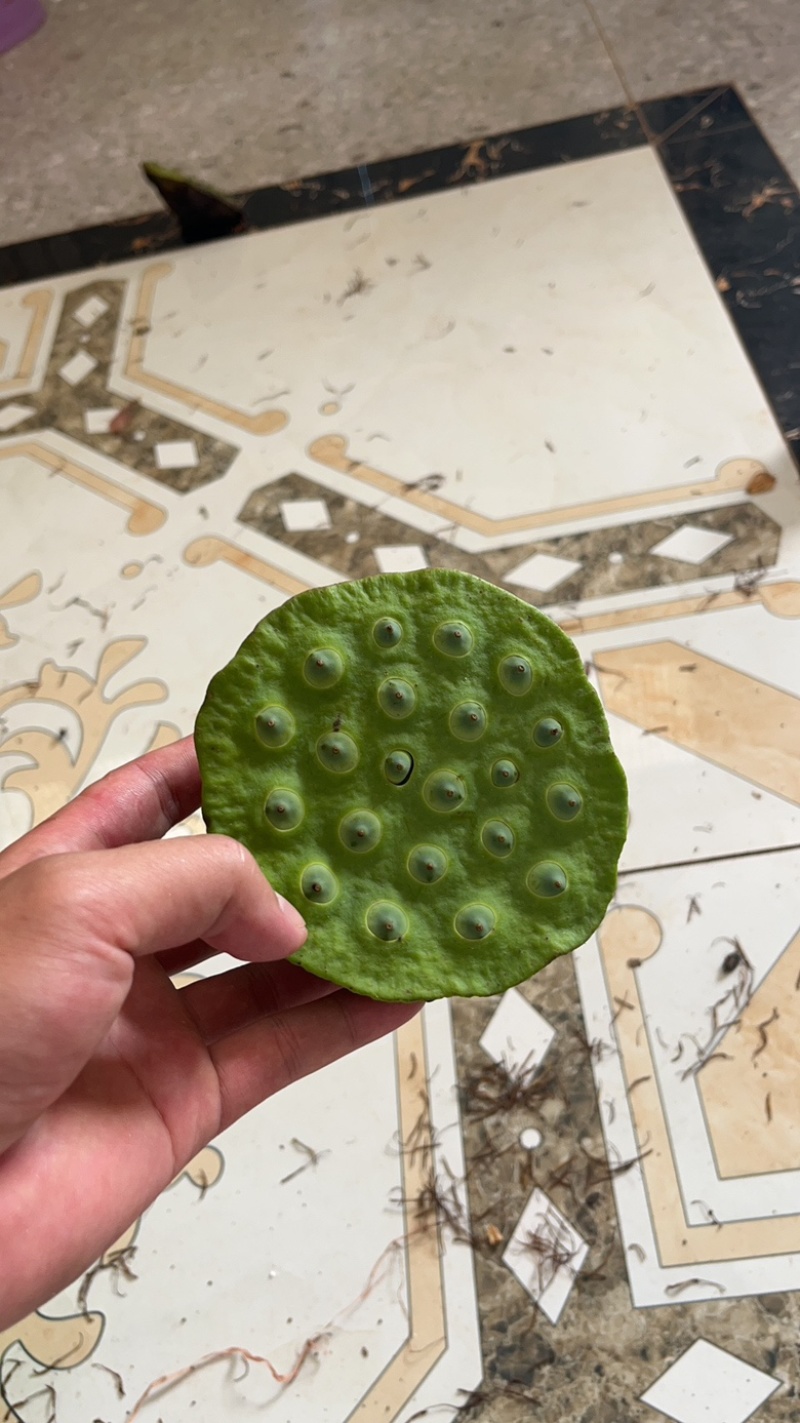 莲子全品类，价格是增加曝光率，品质才是合作的基石