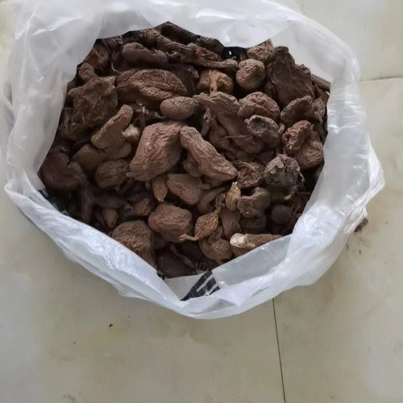 金果榄（地苦胆），