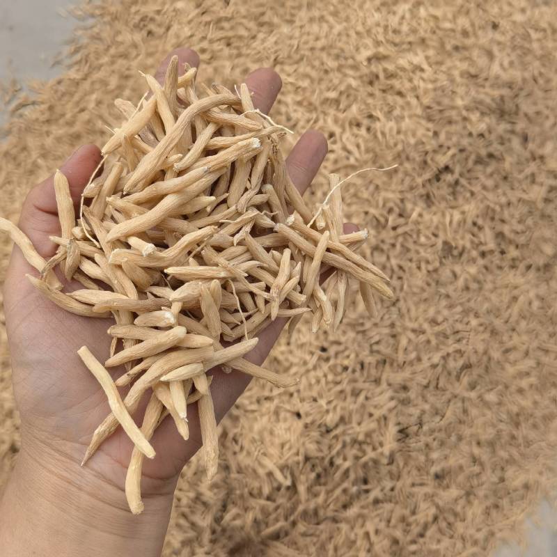 麦冬颜色好看一件代发物美价廉当天下单当天发货