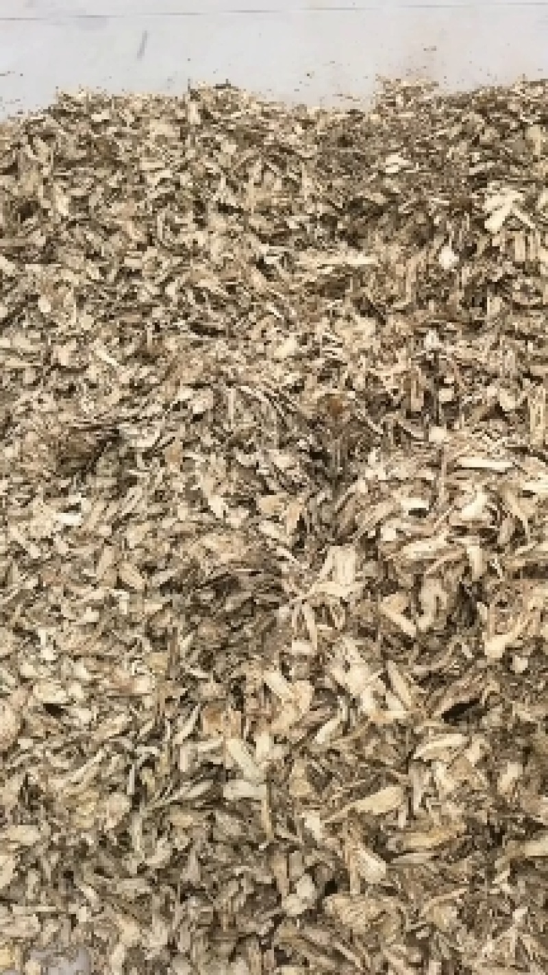 麦冬颜色好看一件代发物美价廉当天下单当天发货