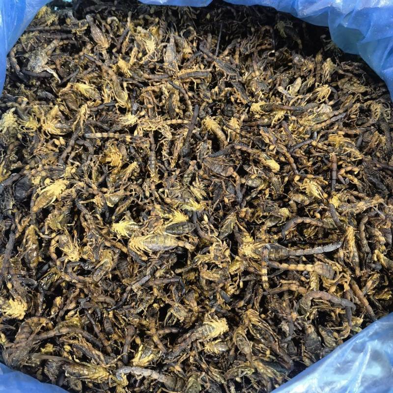 麦冬颜色好看一件代发物美价廉当天下单当天发货
