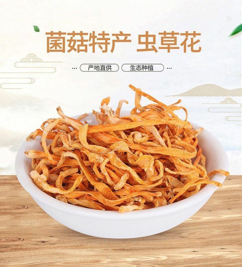 正宗天然无硫虫草花正品菌菇煲汤火锅凉伴蛹虫草批发菌菇