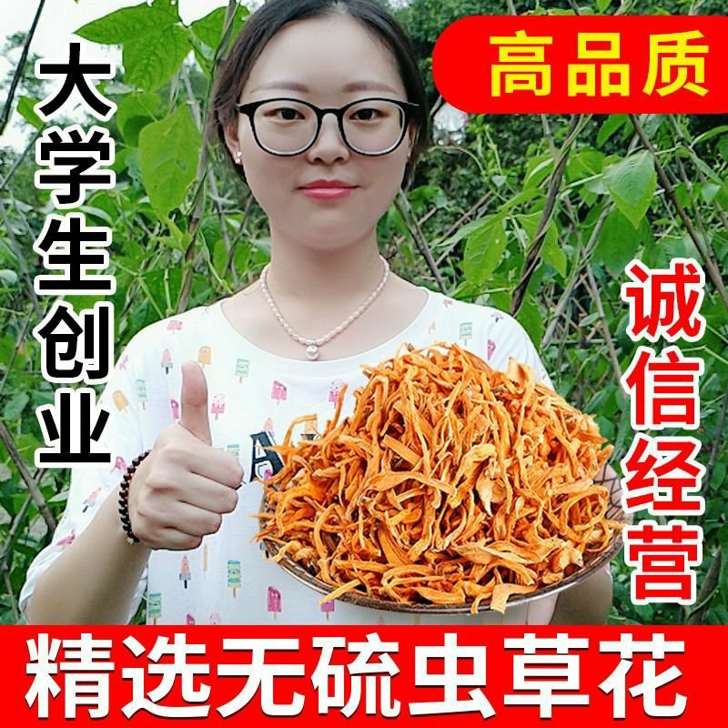 正宗天然无硫虫草花正品菌菇煲汤火锅凉伴蛹虫草批发菌菇