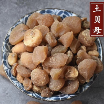 土贝母通货产地河北振兴药材购销站量大从优