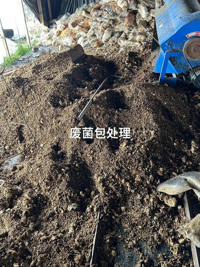 平菇废菌包，免费送