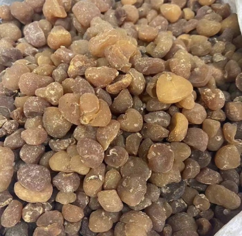 土贝母通货产地河北振兴药材购销站量大从优