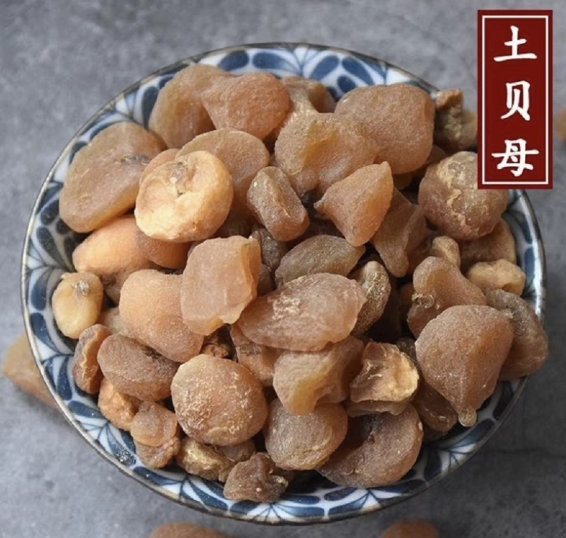 土贝母通货产地河北振兴药材购销站量大从优