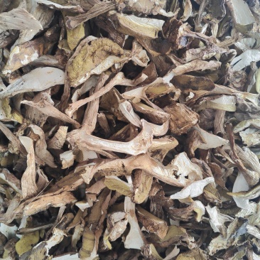 美味牛肝菌_干度好_颜色靓