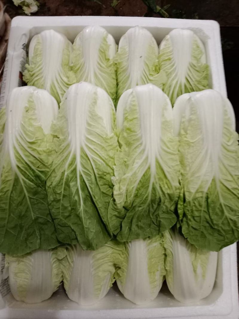 蔬菜