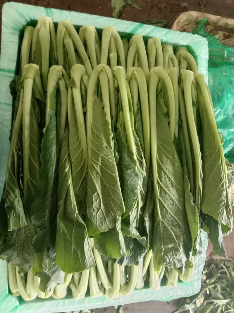 蔬菜