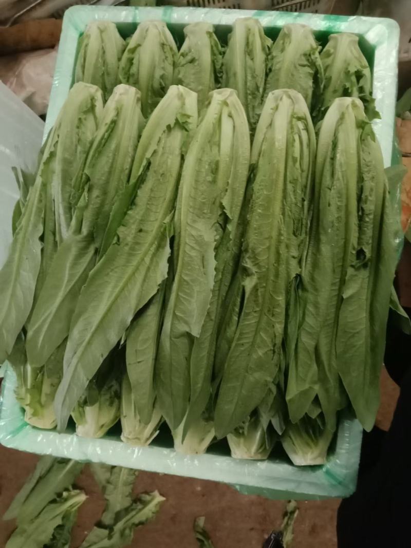 蔬菜