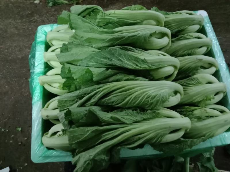 蔬菜