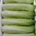 蔬菜