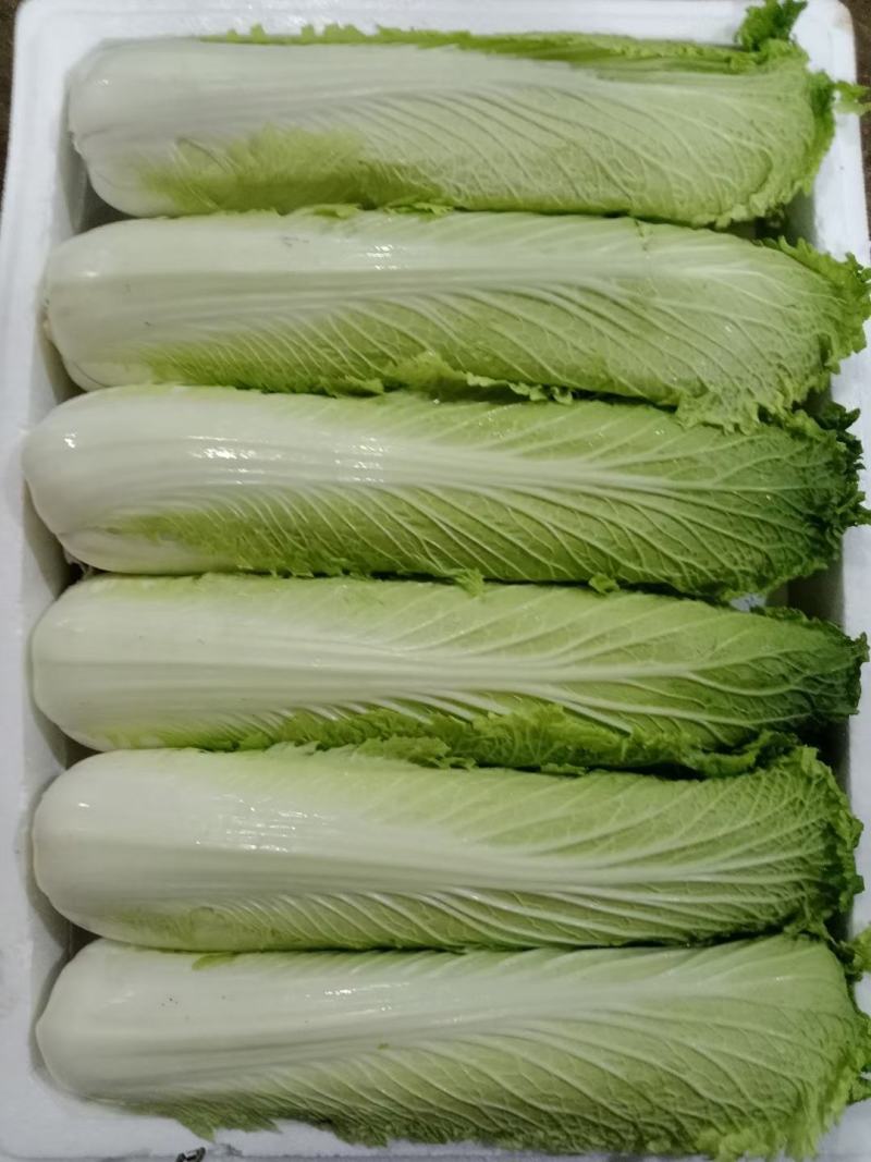 蔬菜
