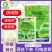 美邦细镖25%溴硝醇细菌性角斑病柑橘溃疡病细菌性病害