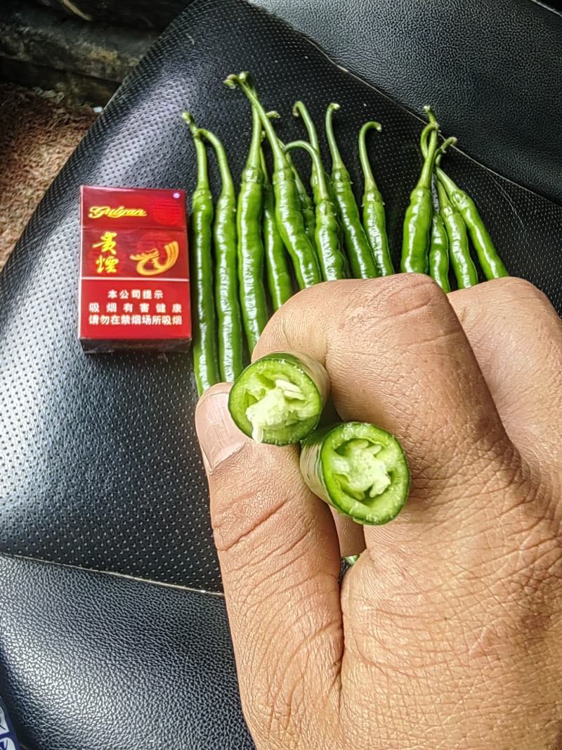 鲜辣椒，二荆条，上市了，有需要的老板联系