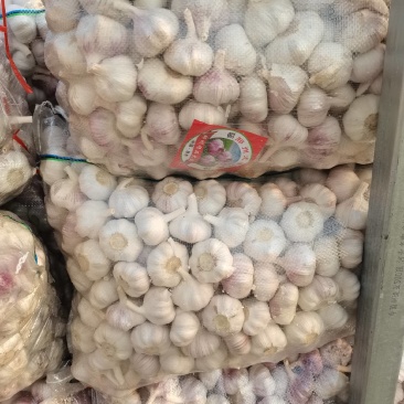 邳州精品净蒜质量杠杠的需要的老板联系我