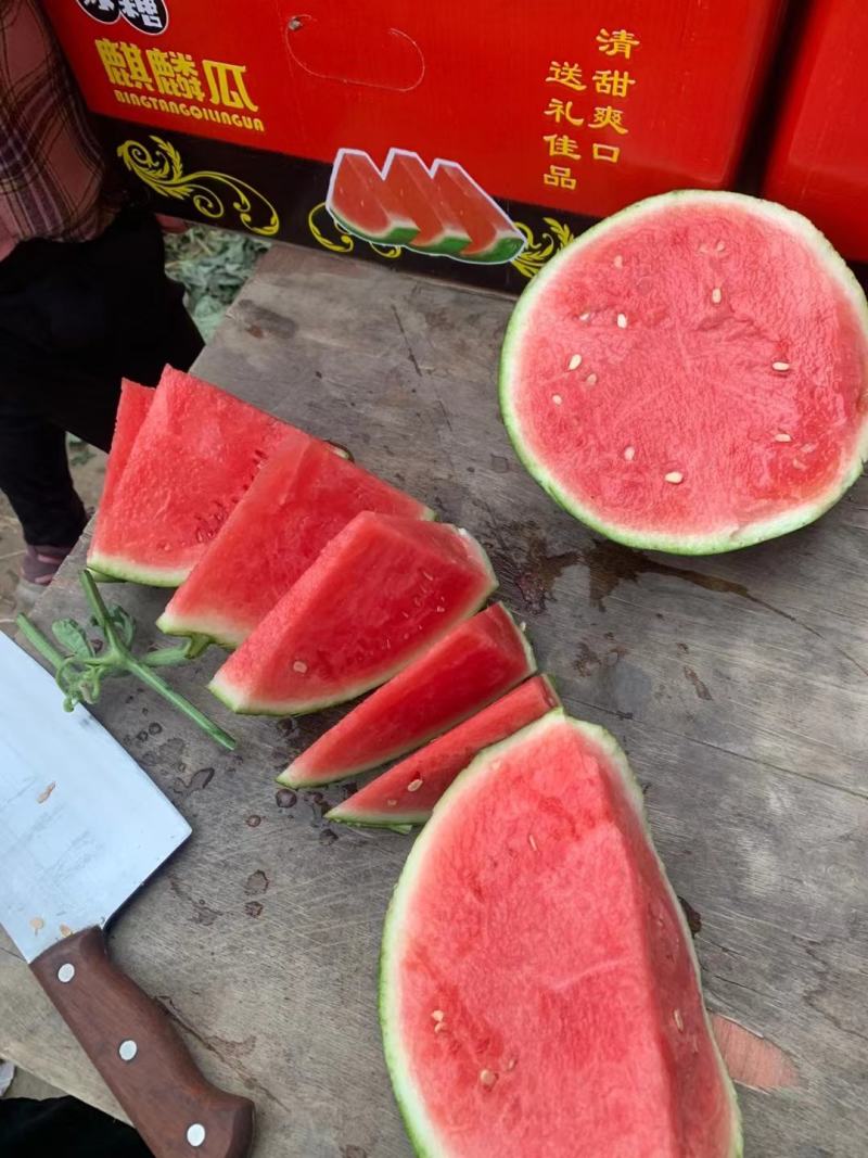 云南无籽麒麟西瓜无籽美都西瓜对接电商美团市场批发