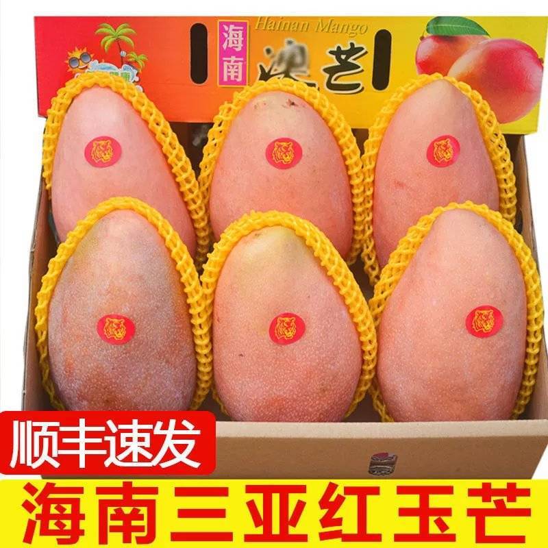 芒果批发顺丰海南玉文芒三亚红玉芒当季新鲜水果红芒爱文大5