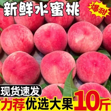 水蜜桃5斤桃子水果新鲜当季整箱应季脆桃现摘水果毛桃现季水