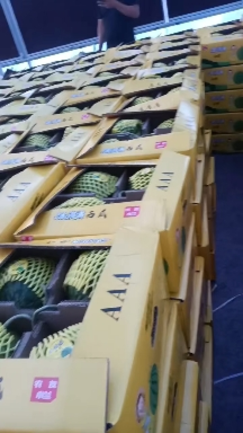 西瓜全网优质货源长期供货