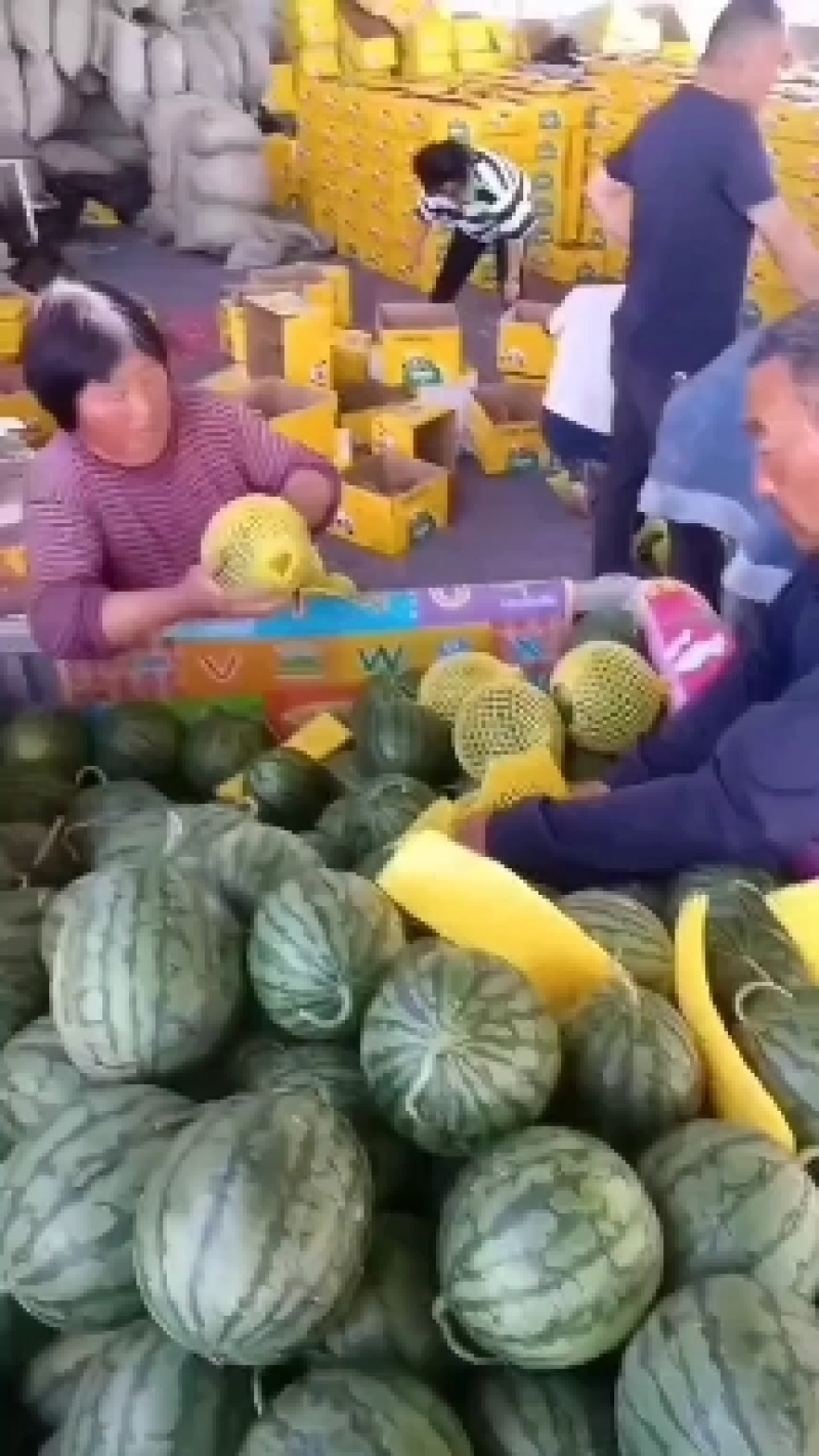 西瓜全网优质货源长期供货