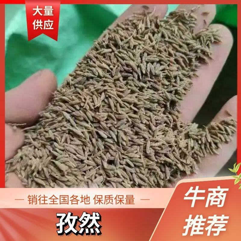 【热销】新疆特级孜然烧烤蘸料产地直发诚信经营