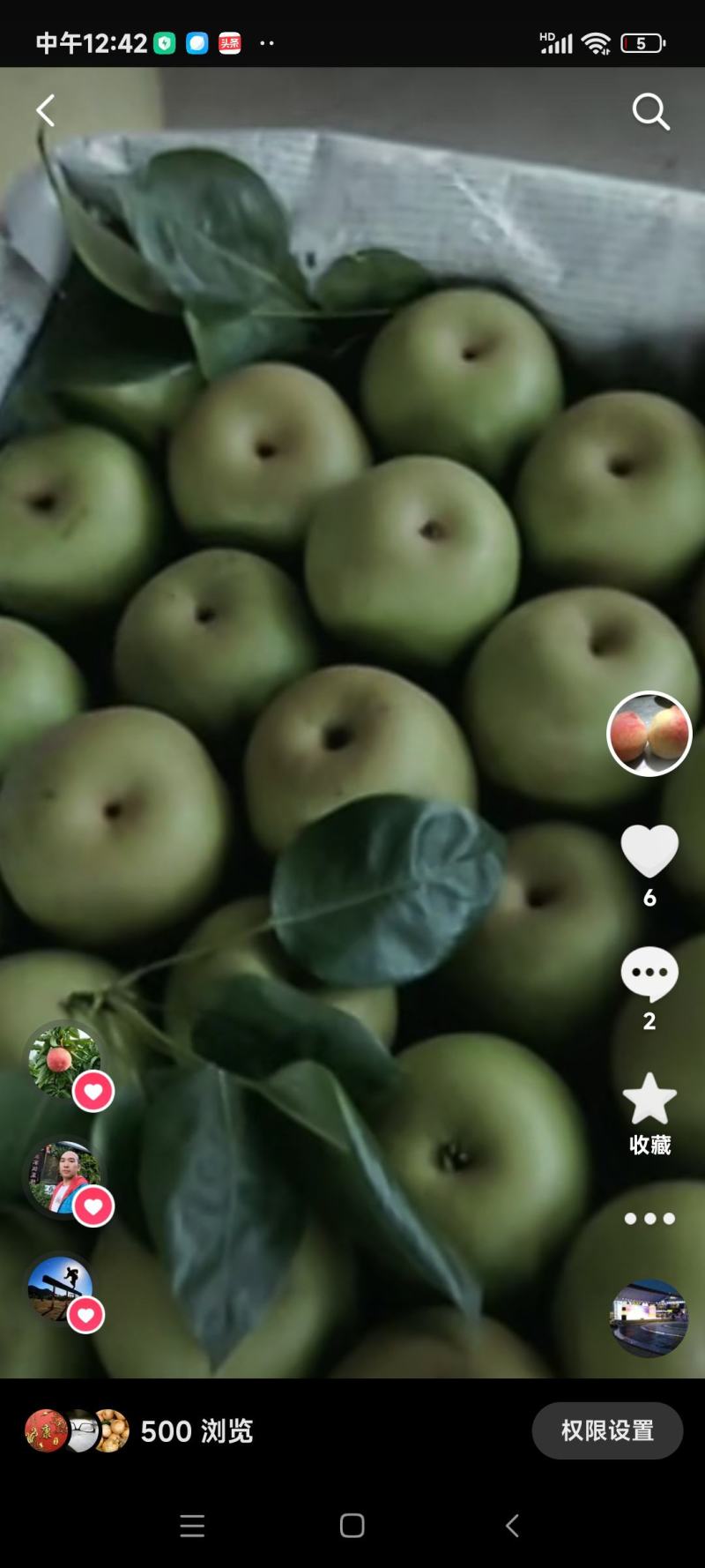 灌阳翠冠梨光果套袋果