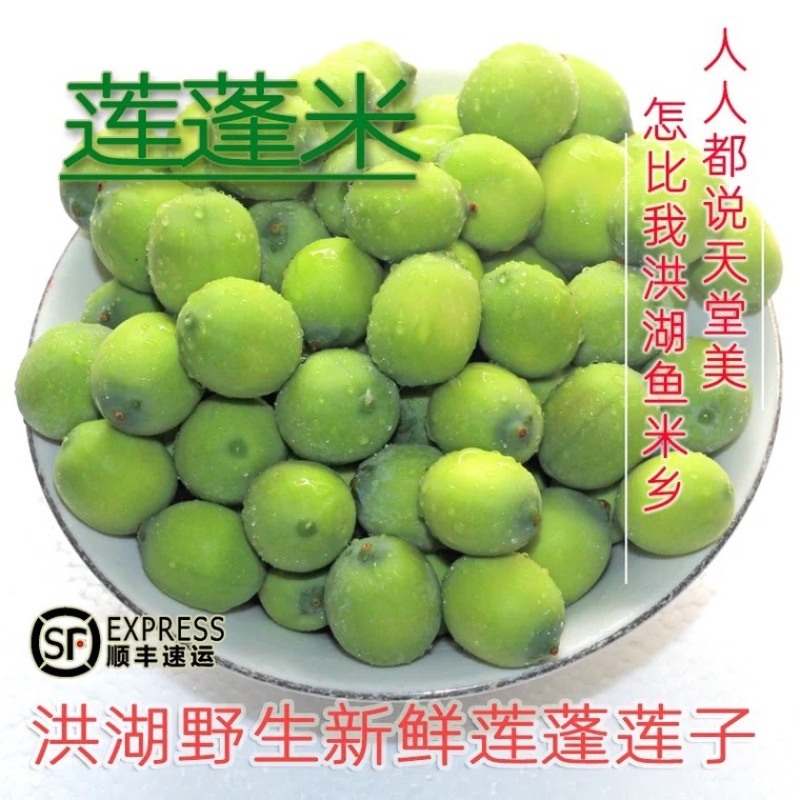 洪湖新鲜莲蓬