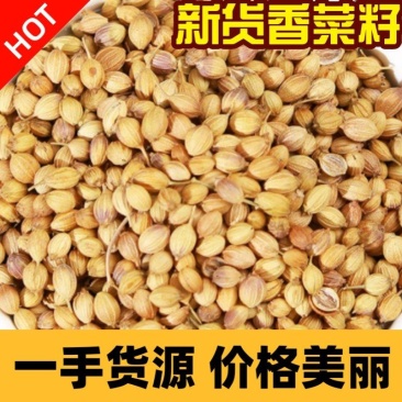 香菜籽香料大全食用调味料散装调料批发产地货源