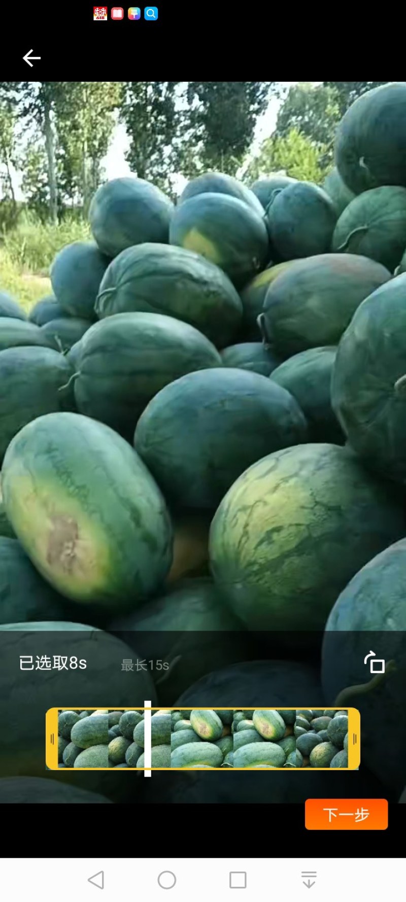龙卷风西瓜