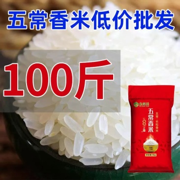 东北五常大米100斤50斤长粒香稻花香当季新米批发香米