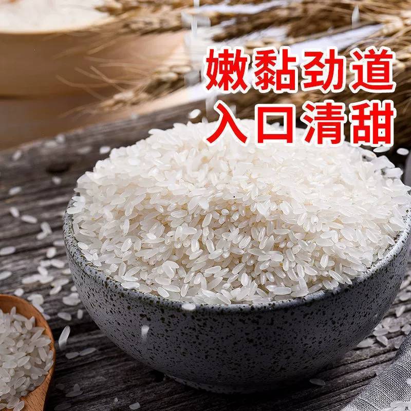 东北五常大米100斤50斤长粒香稻花香当季新米批发香米