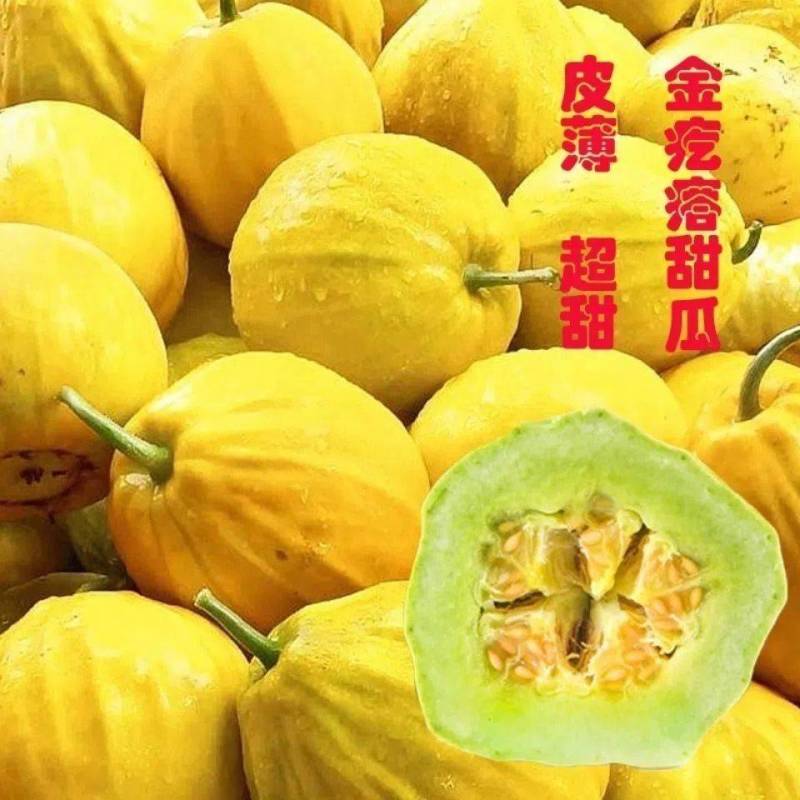 丑八怪香瓜产地一首货源大量销售中对接电商平台社区团购市场