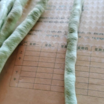 圆条豆角
