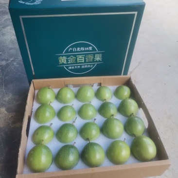 海南钦密9号百香果