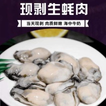 生蚝肉牡蛎海蛎肉新鲜速冻1斤/盒