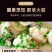 生蚝肉牡蛎海蛎肉新鲜速冻1斤/盒
