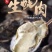 生蚝肉牡蛎海蛎肉新鲜速冻1斤/盒