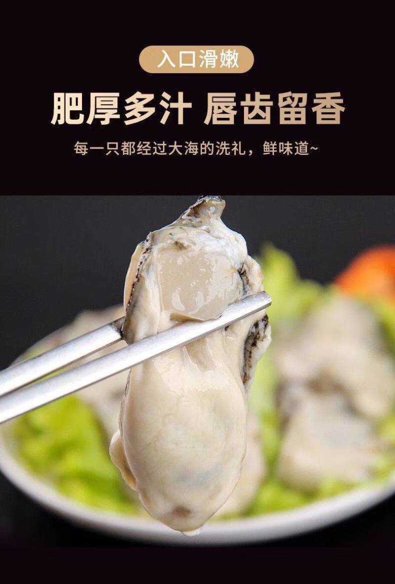 生蚝肉牡蛎海蛎肉新鲜速冻1斤/盒