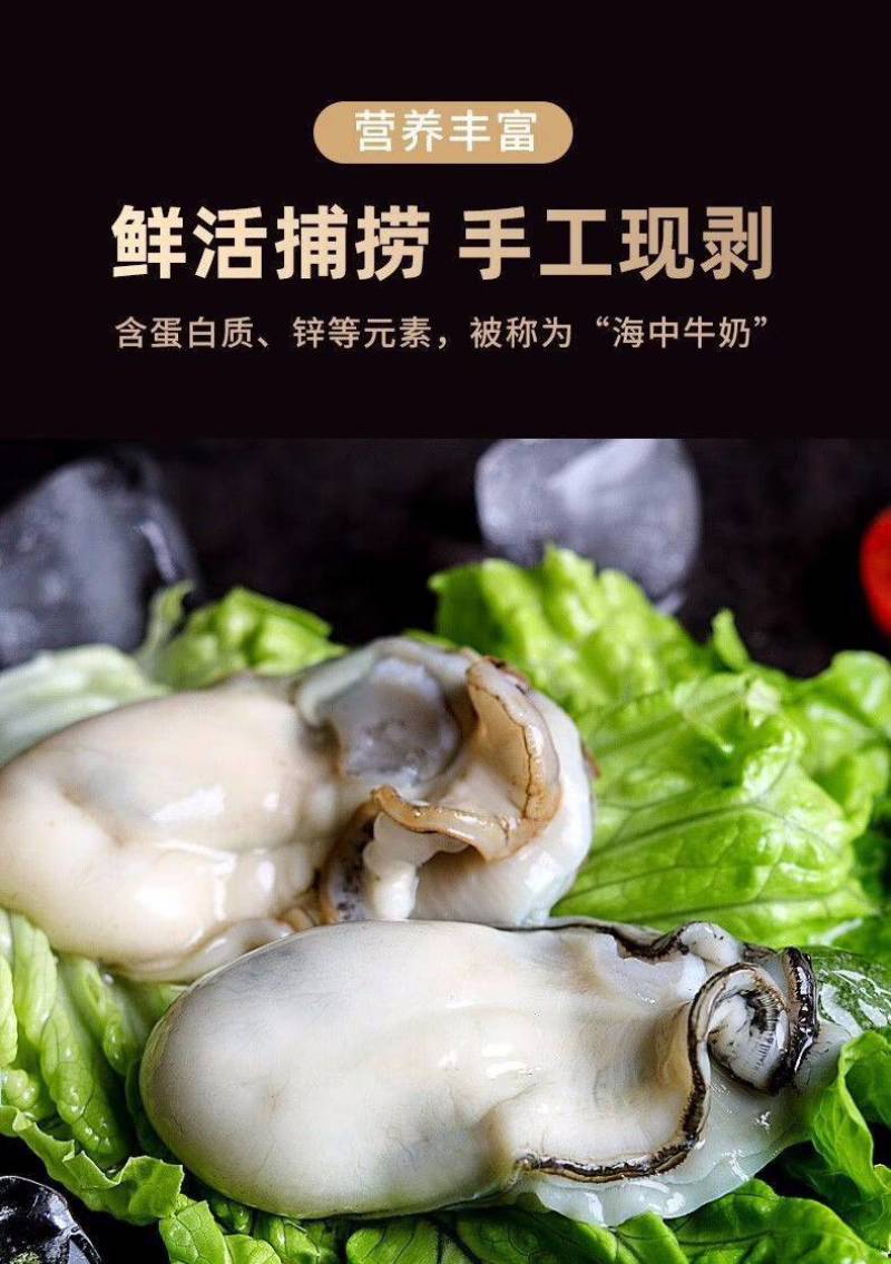 生蚝肉牡蛎海蛎肉新鲜速冻1斤/盒