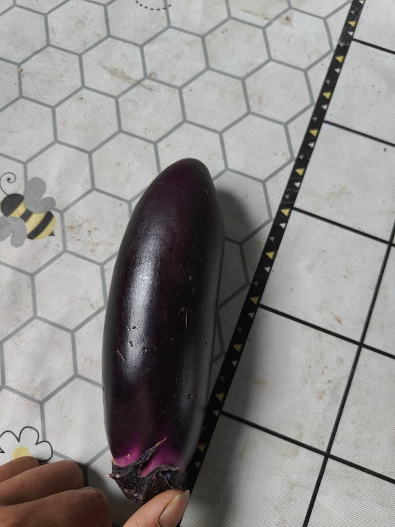 好吃不贵